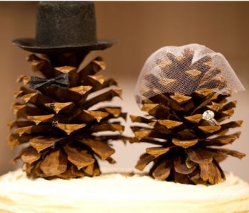 herfstbruiloft bruidspaar dennenappels herfstbruiloft bruidspaar dennenappels